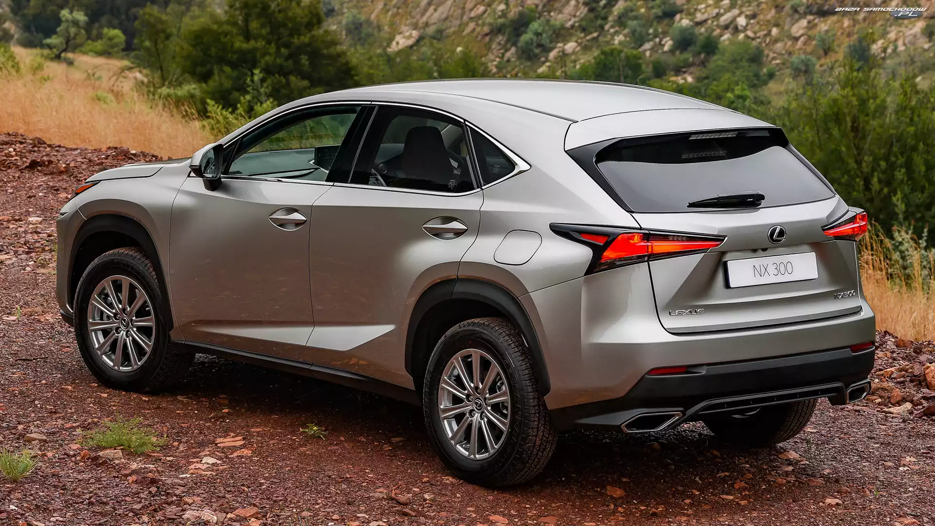 Tył, Lexus NX, Bok