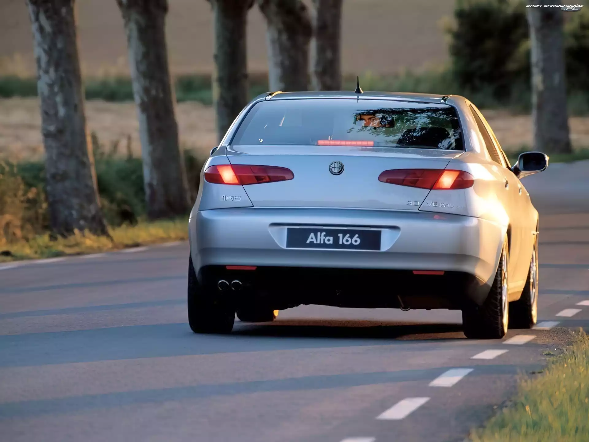 Ulica, Alfa Romeo 166, Drzewa