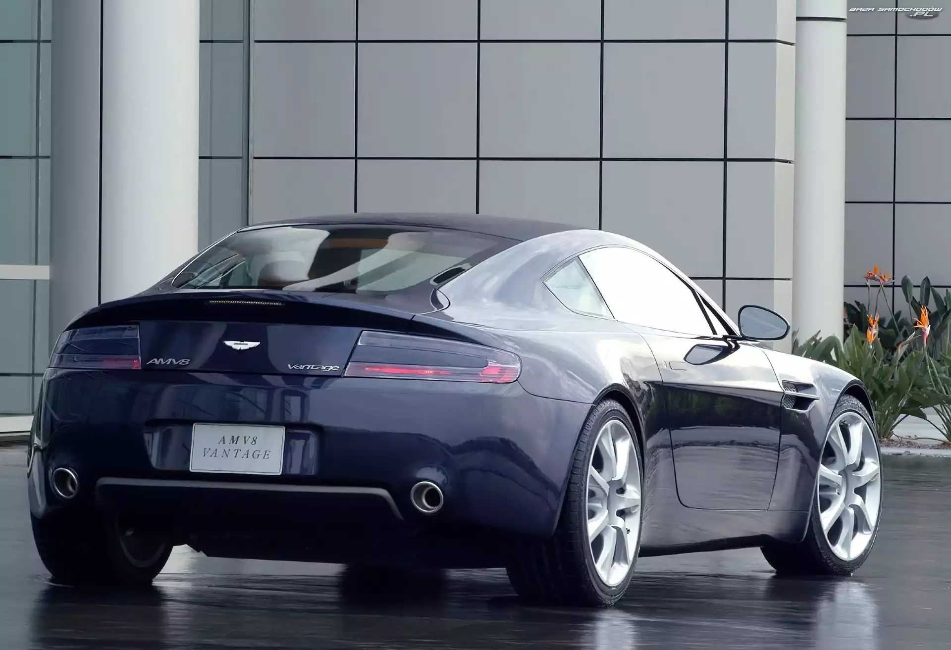 Vantage, Tył, Aston Martin AMV8