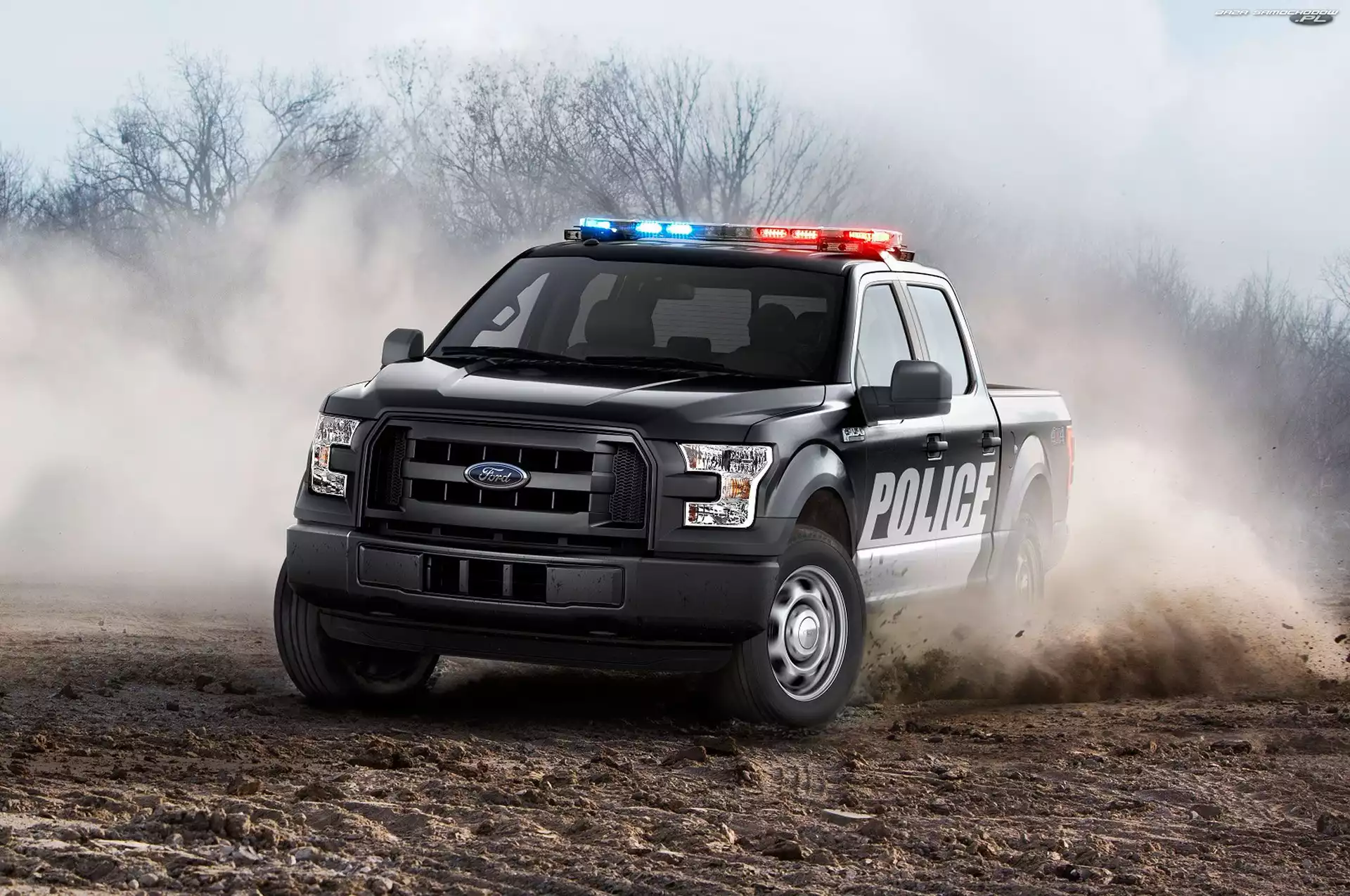 Policyjny, 2016, Samochód, Ford F-150 Special Service Vehicle