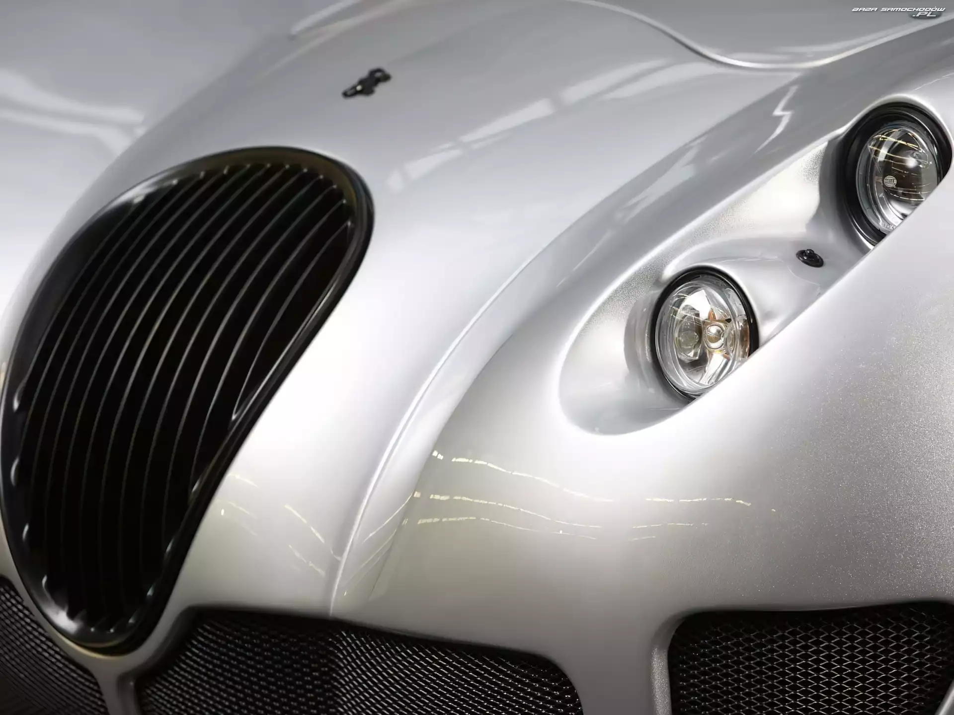 Grill, Wiesmann GT MF5