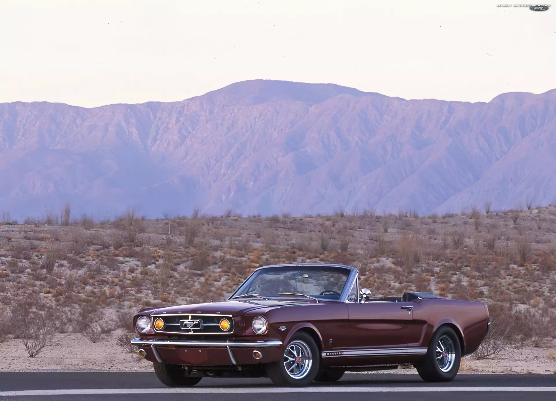 Wiśniowy, Ford Mustang K-Code