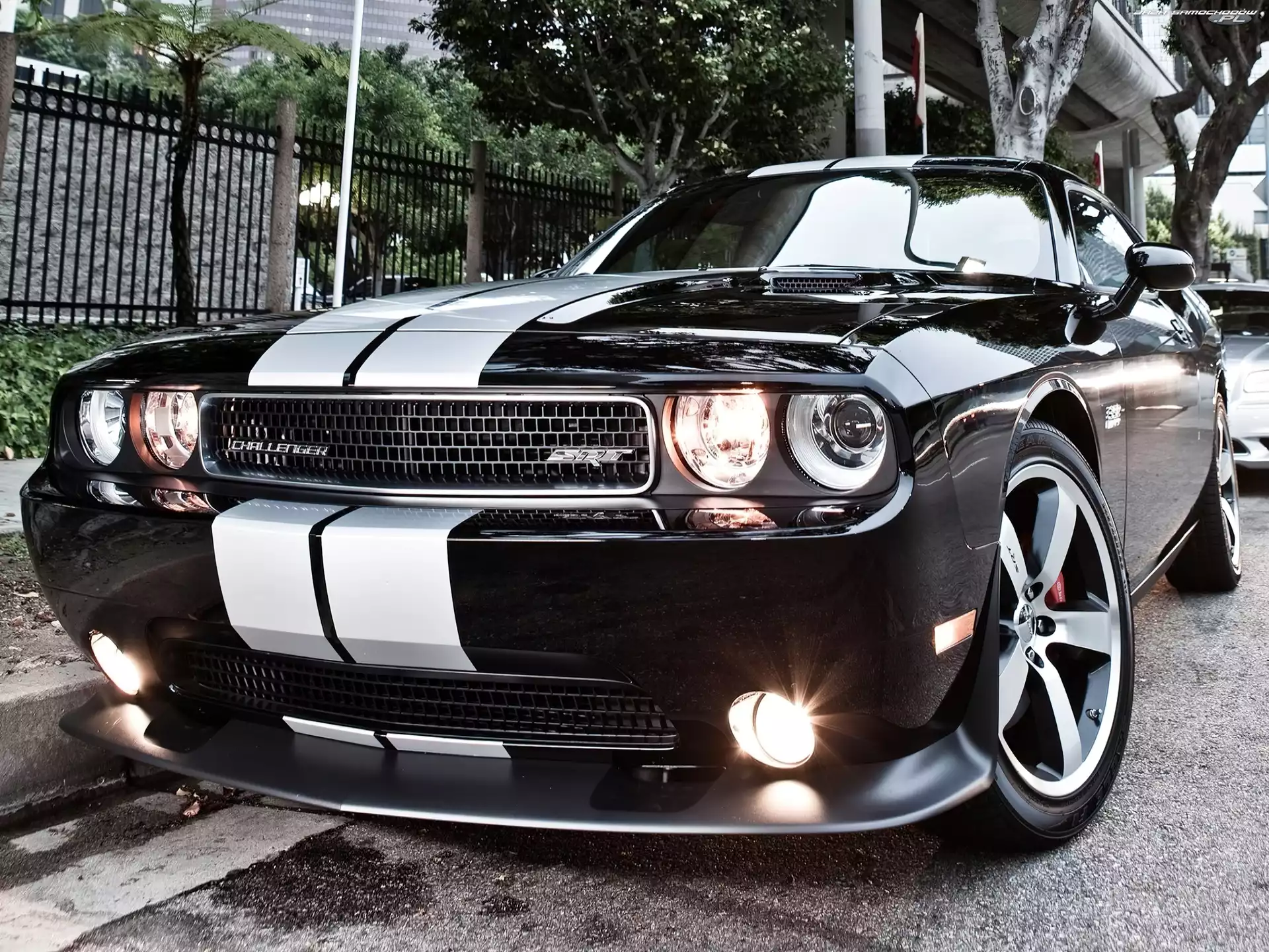 Wlot, Dodge Challenger STR8, Zderzak