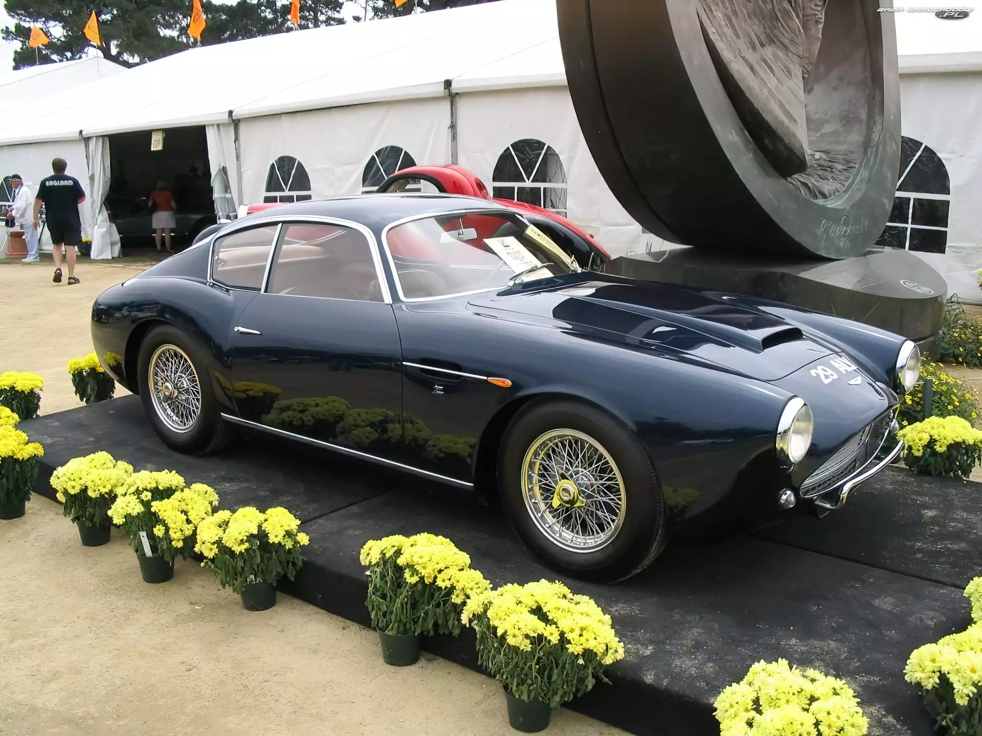 Wystawa, Aston Martin DB4, Kwiaty
