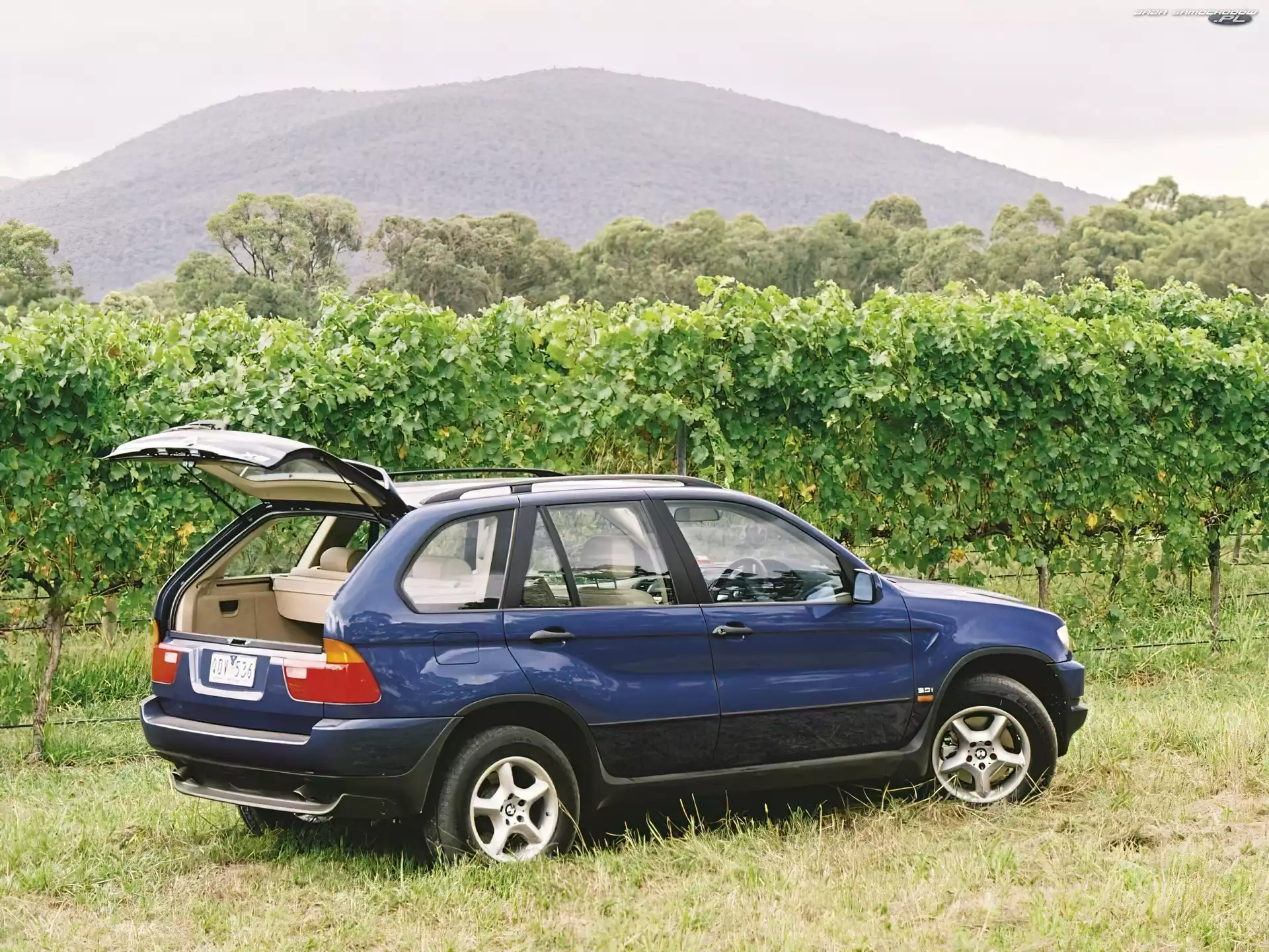 E53, Bmw X5