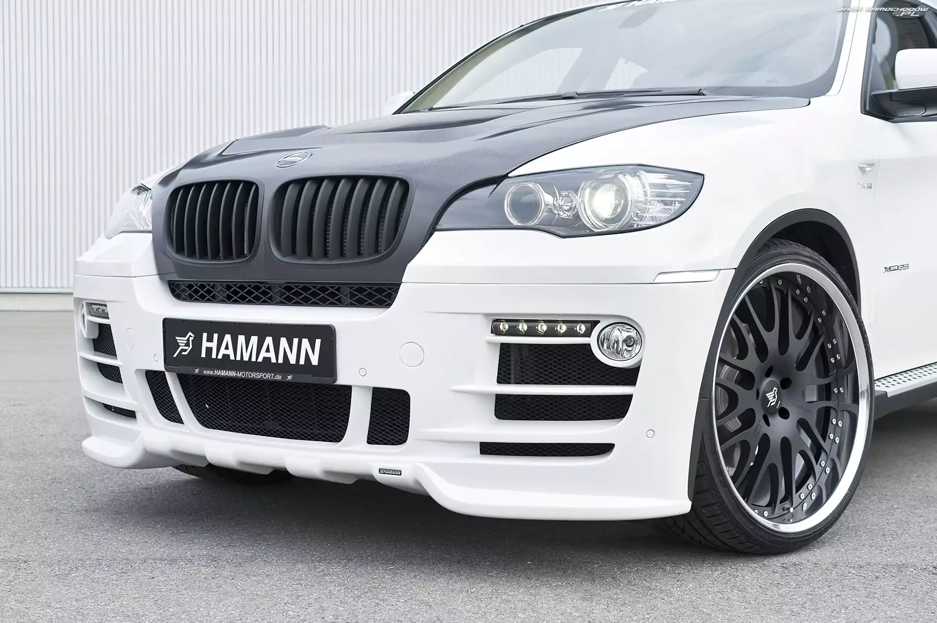 Hamann, X6