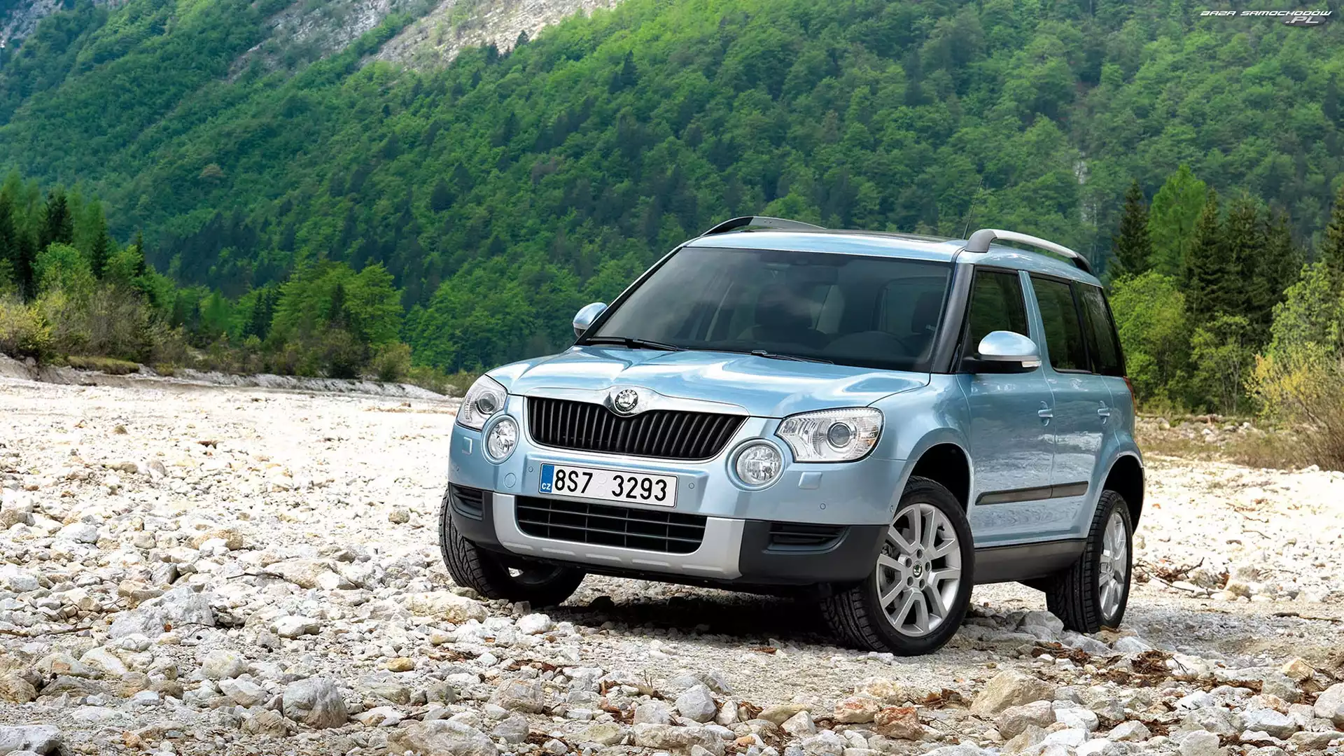 Yeti, Kamienie, Skoda, Las