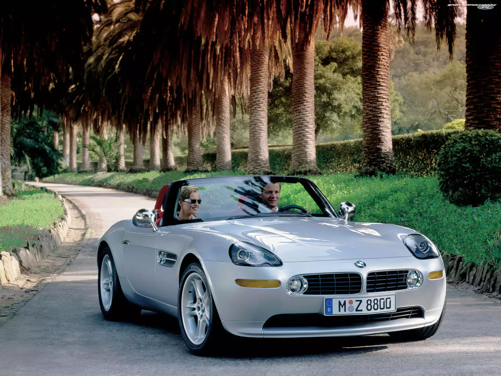 Palmy, BMW Z8