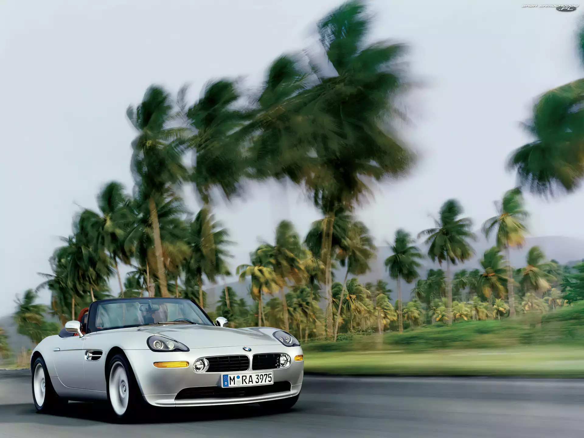 Palmy, BMW Z8