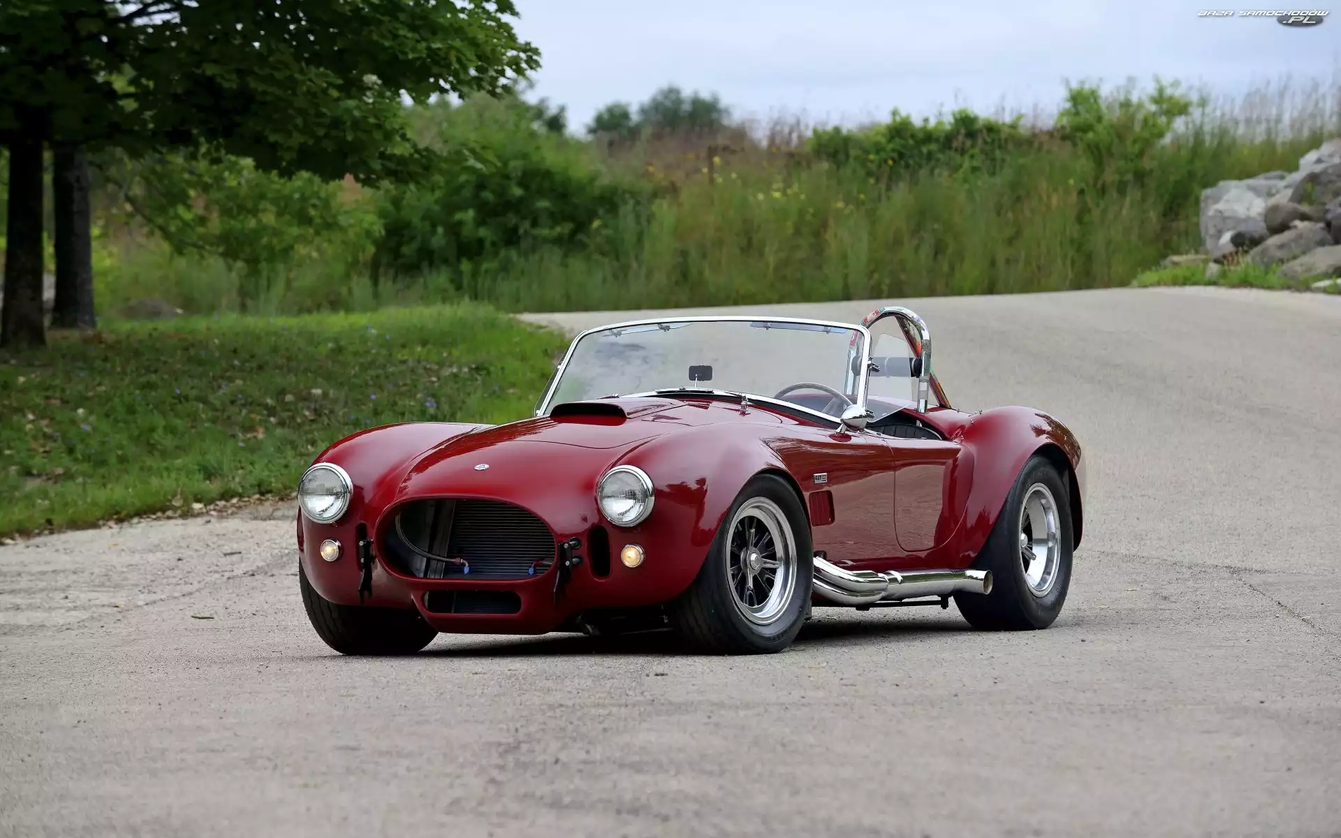 1966, Zabytkowe, Schelby Cobra 427 S/C