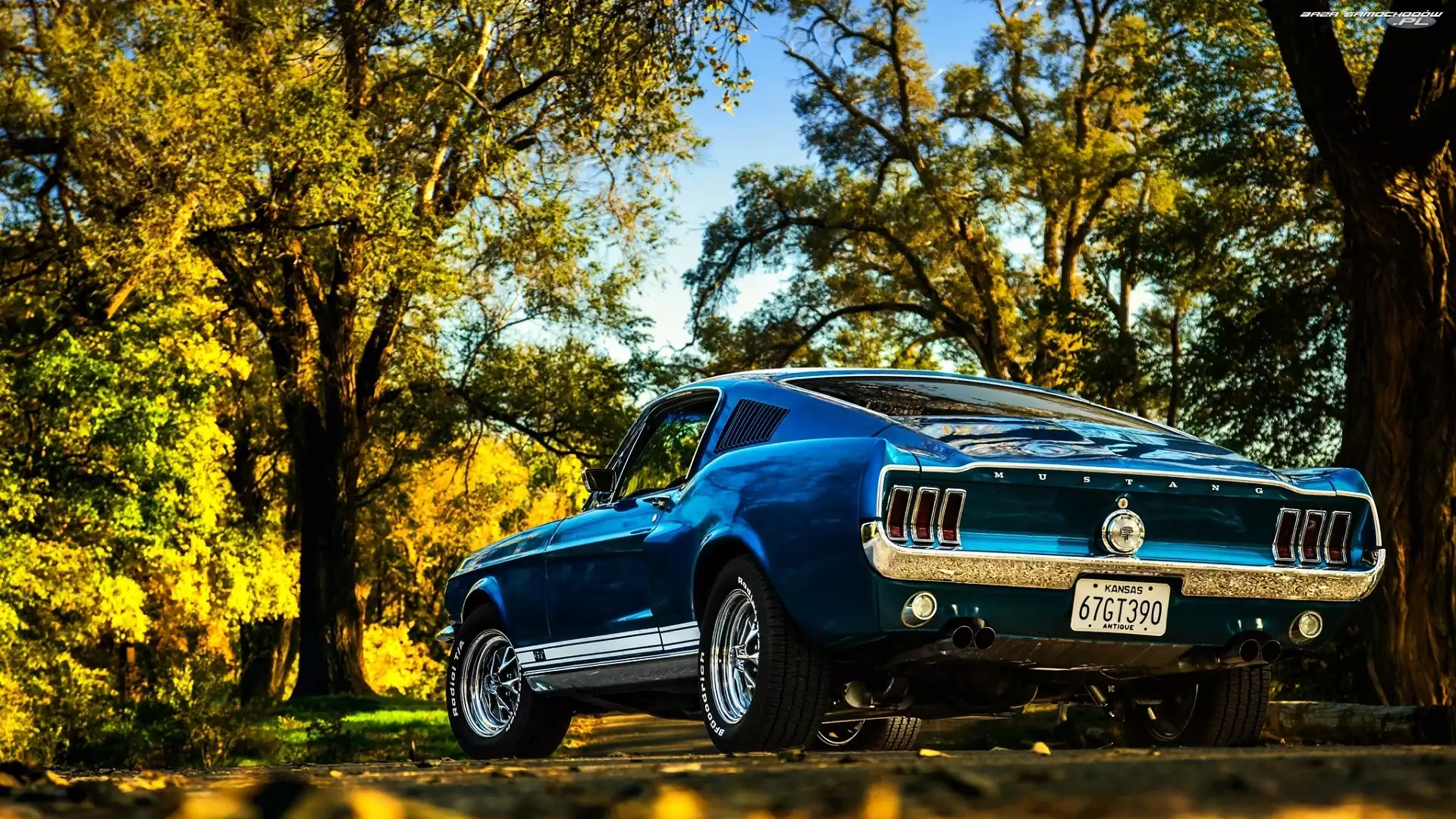 Zabytkowy, Ford Mustang Boss GT 390