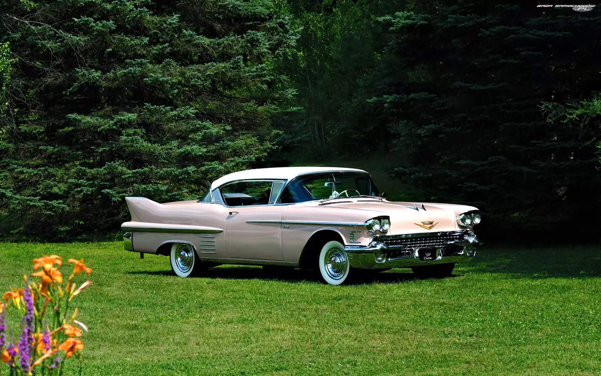 1958, Zabytkowy, Cadillac Series 62 Coupe De Ville