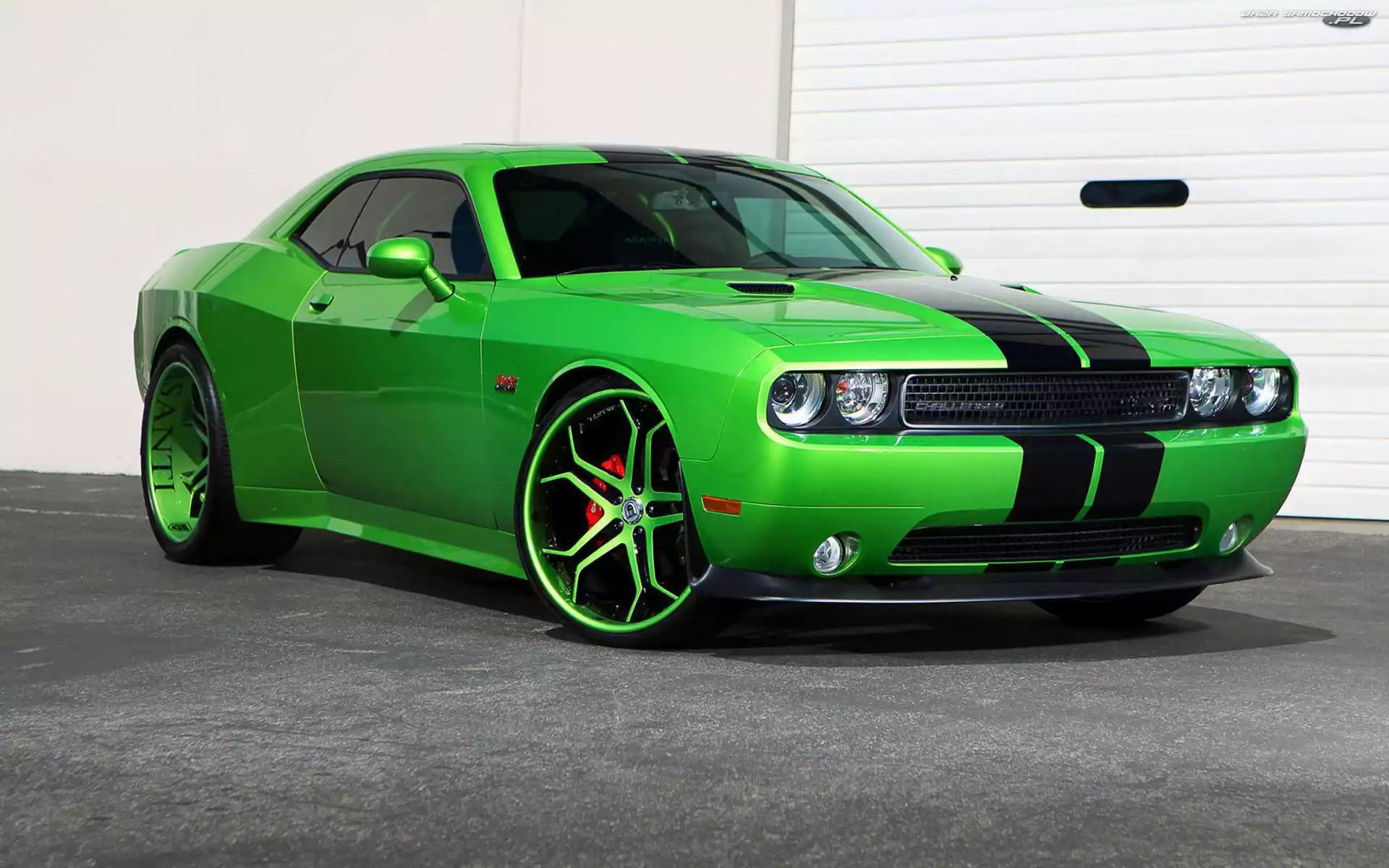 Challenger, Zielony, Dodge