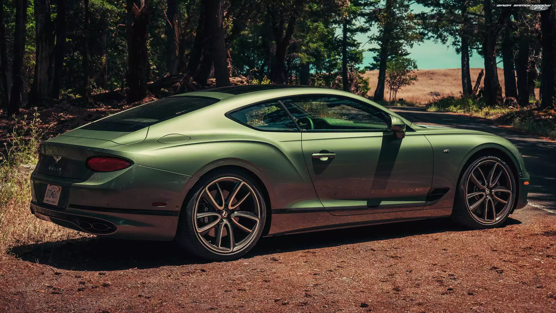 Zielony, Bentley Continental GT