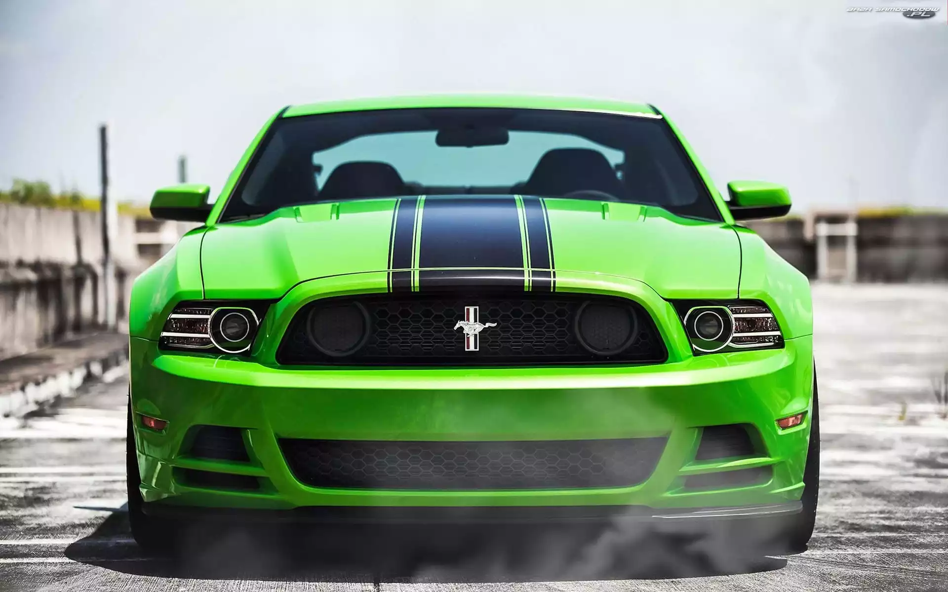 Mustang, Zielony, Ford