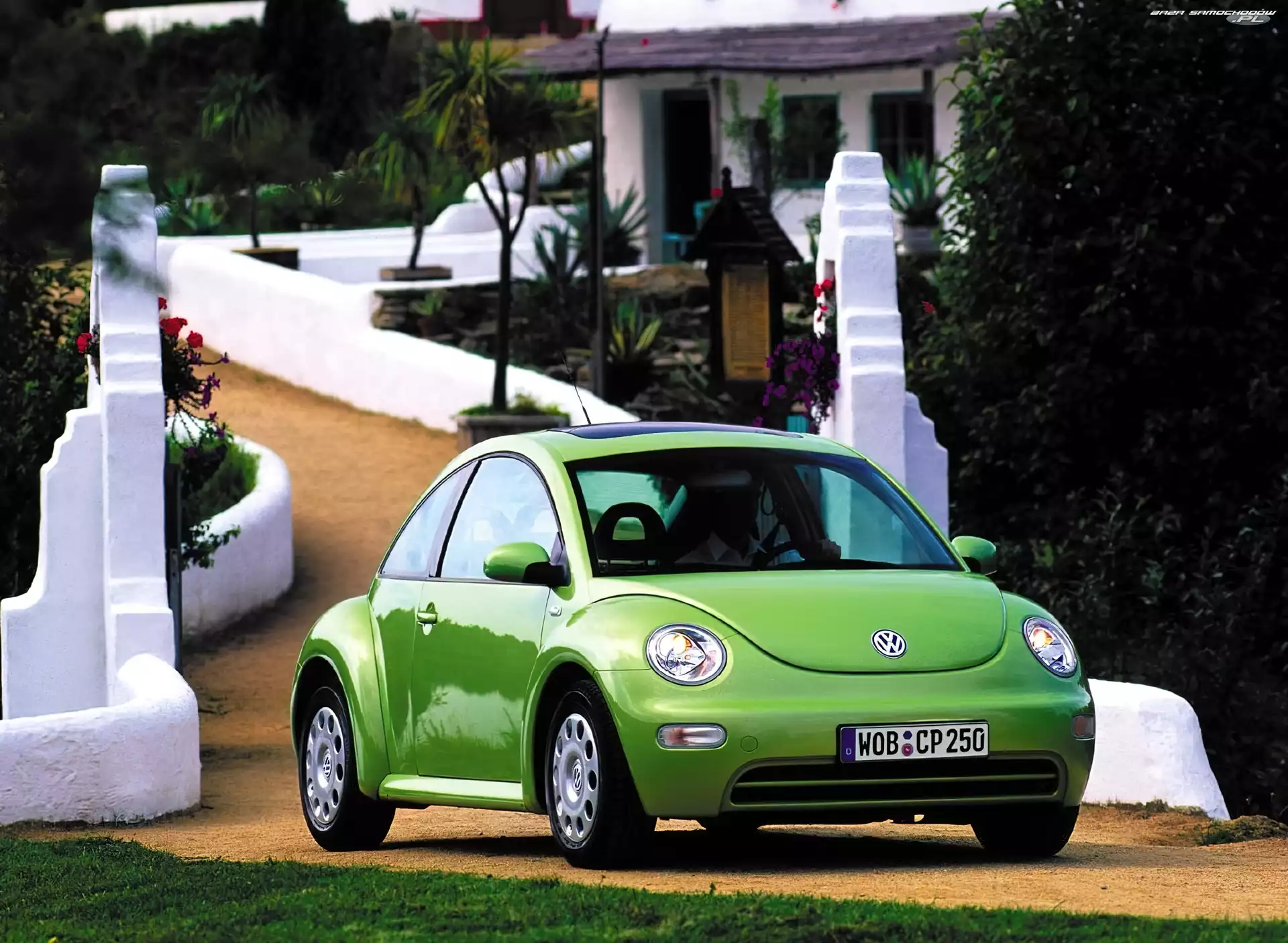 Volkswagen New Beetle
, Zielony