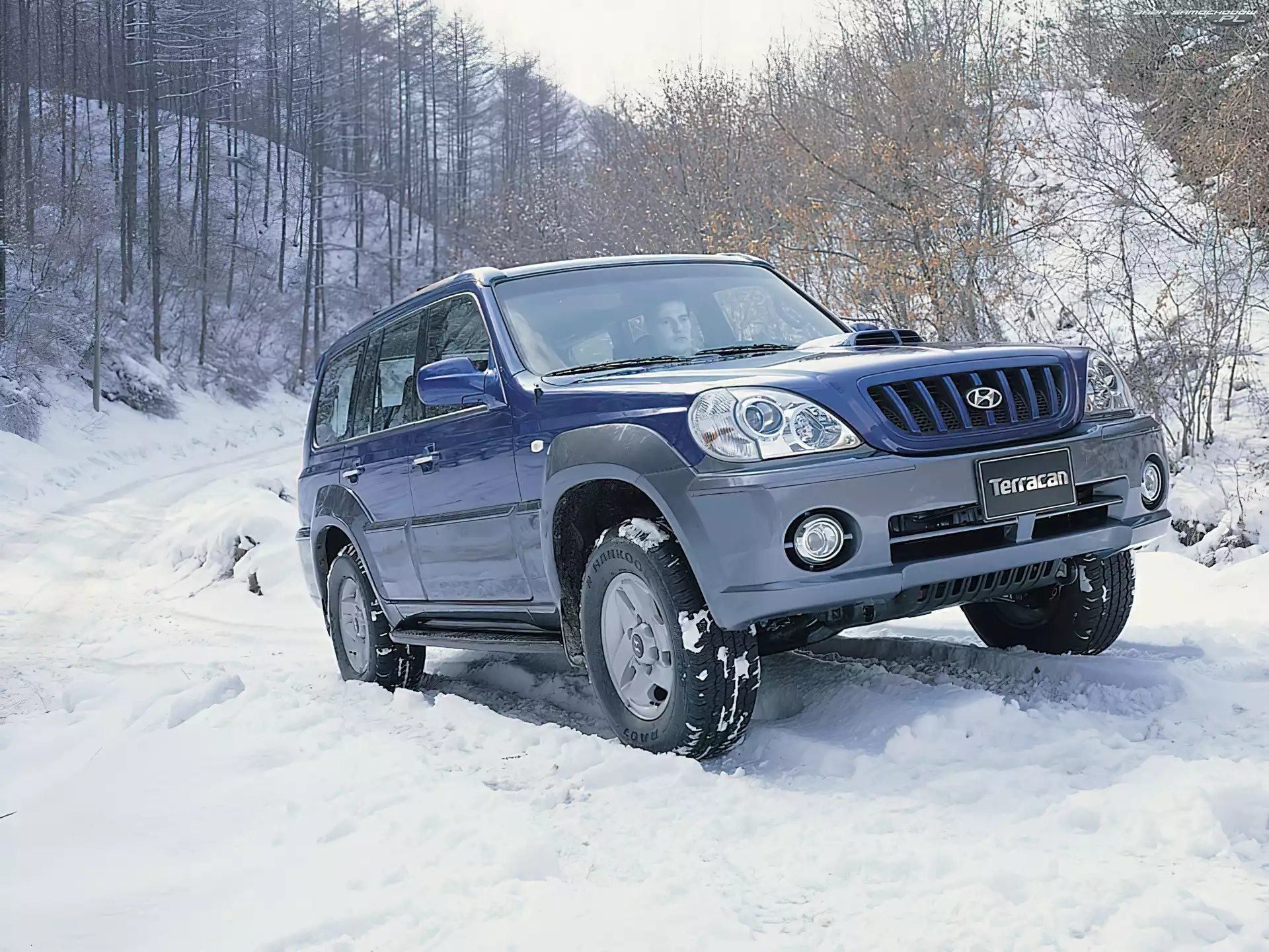 Zima, Niebieski, Hyundai Terracan
