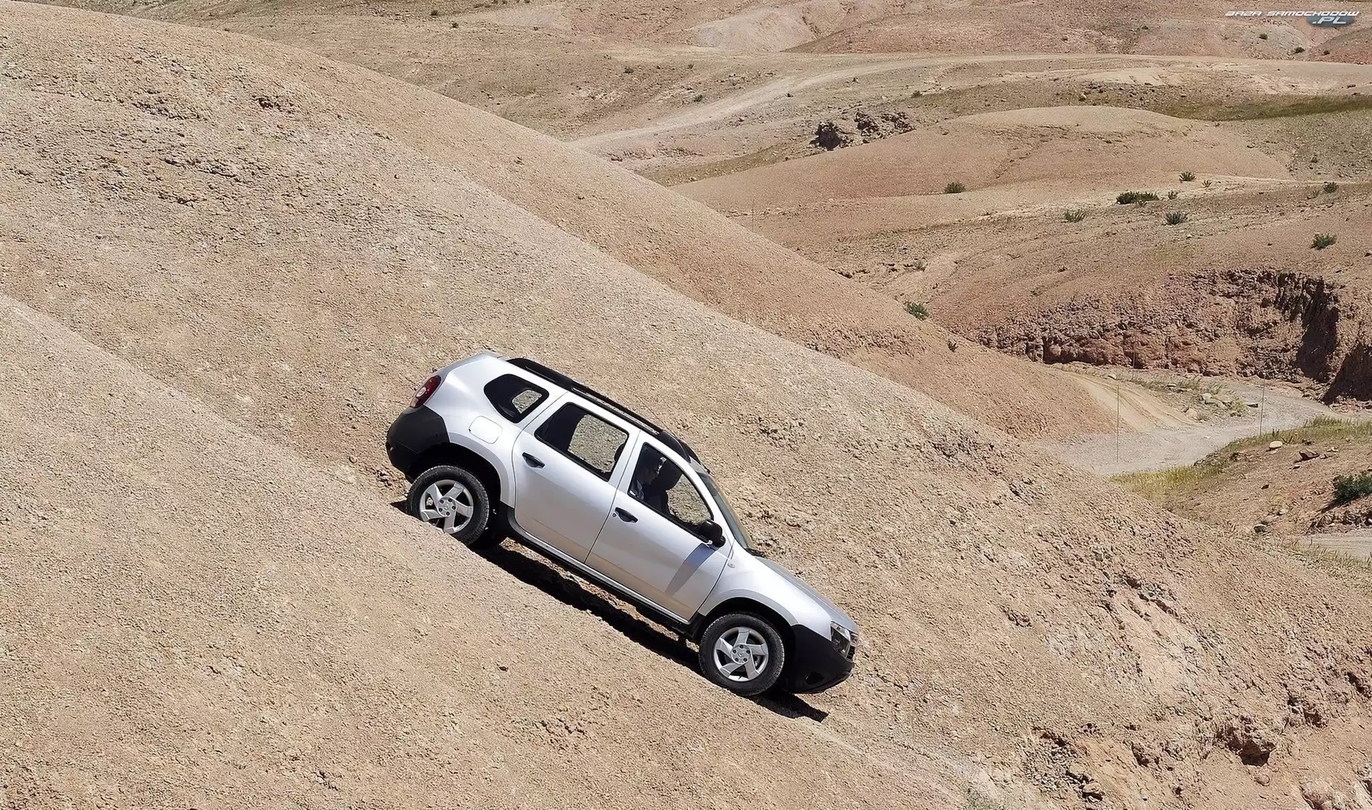 Zjazd, Dacia Duster, Stromy