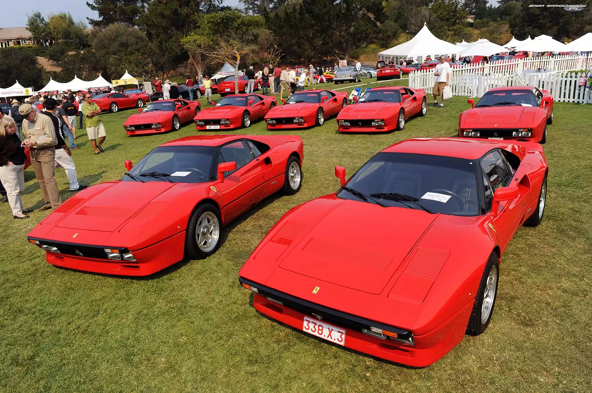 Ferrari 288 GTO, Zlot