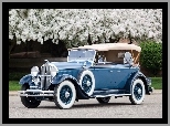 Droga, Zabytkowy, Kwitnące, Phaeton, Drzewa, Lincoln, 1931, Sportowy