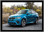 2015, Niebieskie, BMW X6 F86