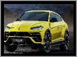 2018, Żółte, Lamborghini Urus