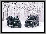 Zima, Land Rover Defender, Dwa, Las, Drzewa, Czarne, 2018
