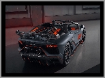 2020, Lamborghini Aventador, SVJ 63
