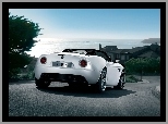 8C, Spider