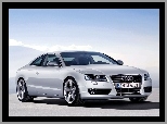 Halogeny, Audi A5