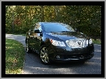 Alufelgi, Buick LaCrosse, Chromowane