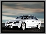 Sedan, Audi A4 B8