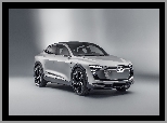 Audi E-tron Sportback Concept, 2017