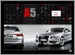 Audi A5, Dealer