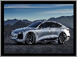 Audi A6 e-Tron, Concept