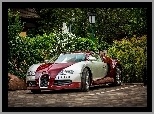Auto, Dom, Bugatti Veyron, Posesja