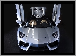 Aventador, Roadster, Lamborghini, LP 700-4