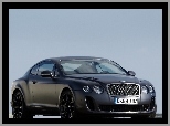 Reflektory, Bentley Continental GTC