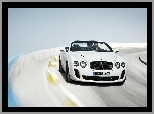 Grafika, Bentley Continental Supersports