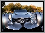 Mercedes Biome Concept