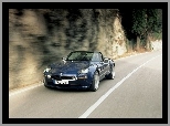 BMW Z8, Alpina