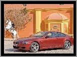 BMW 6, Biały Koń