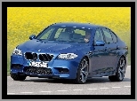 Seria 5, BMW F10
