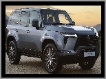 Przód, Lexus GX, Bok