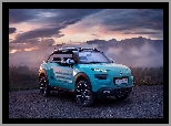 Citroen Cactus M Concept, 2015

