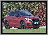 Krzewy, Citroen, DS4