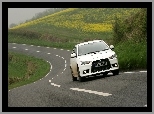 Droga, Mitsubishi Lancer, Kręta