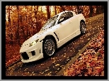 Droga, Las, RX-8, Mazda, Jesień