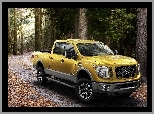 Droga, Las, Samochód, Nissan, Titan