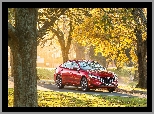 Drzewa, Czerwona, Mazda 6